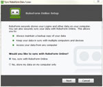 Online and Offline Options