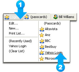Click the Logins menu from the RoboForm Toolbar