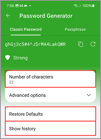 The available options in the RoboForm Password Generator.